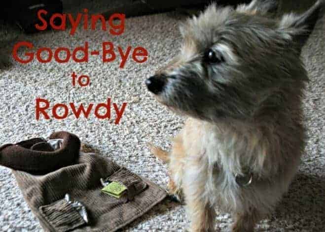 Rowdy's Jacket and Fritz as one last picture together
