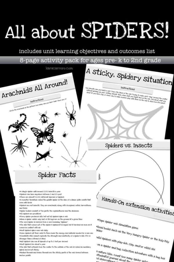 All About Spiders Learning &amp; Activity Printable Pack