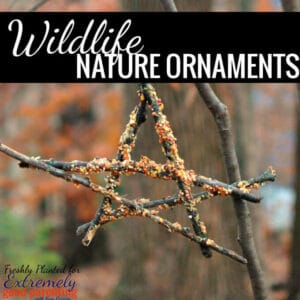 Wildlife nature ornaments for kids to make for the birds.