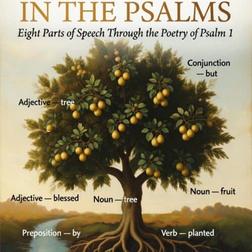 Grammar in the Psalms: Eight Parts of Speech Through Psalm 1 (Differentiated for Grades K-12)